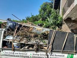 Best Office Cleanout  in Genoa City, WI